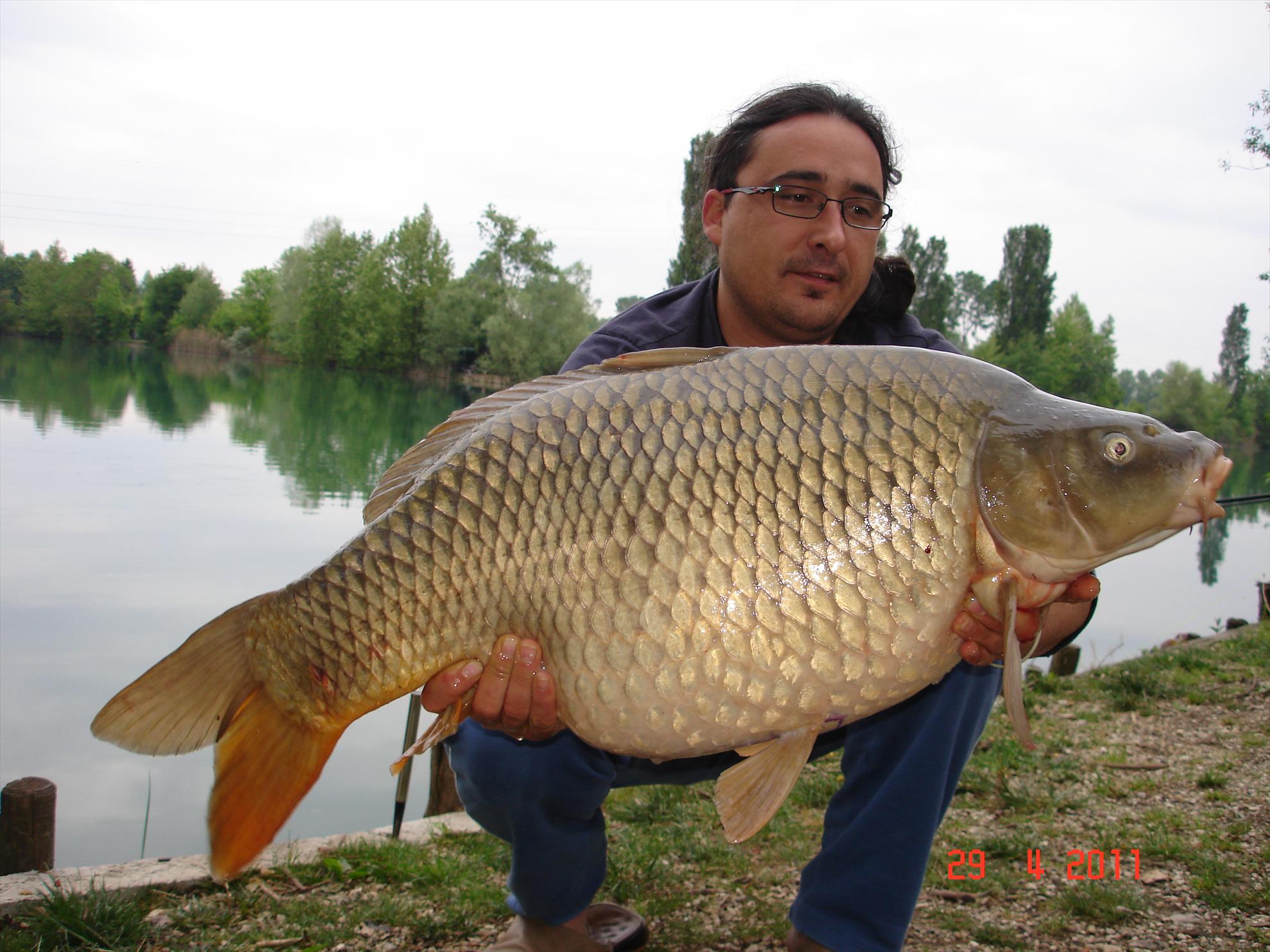 THE BIGS OF 2011 - p1000093.JPG